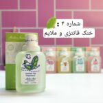 عطر بیکینی ۶ رایحه خوش‌بو و خاص حجم ۵۰ میلی لیتر - 5